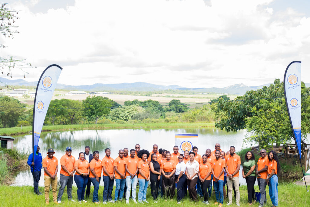 The current image has no alternative text. The file name is: 1000014573-scaled.jpg