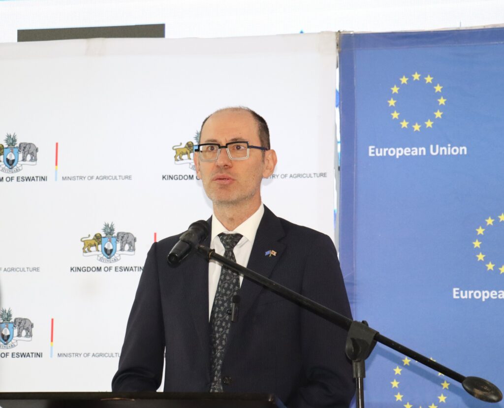 The current image has no alternative text. The file name is: 20260326-083857.jpg